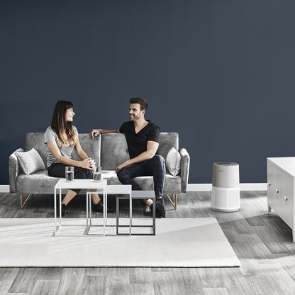Rowenta Pure Air City PU2840 20 m² 32 dB 23 W Blanc, Gris