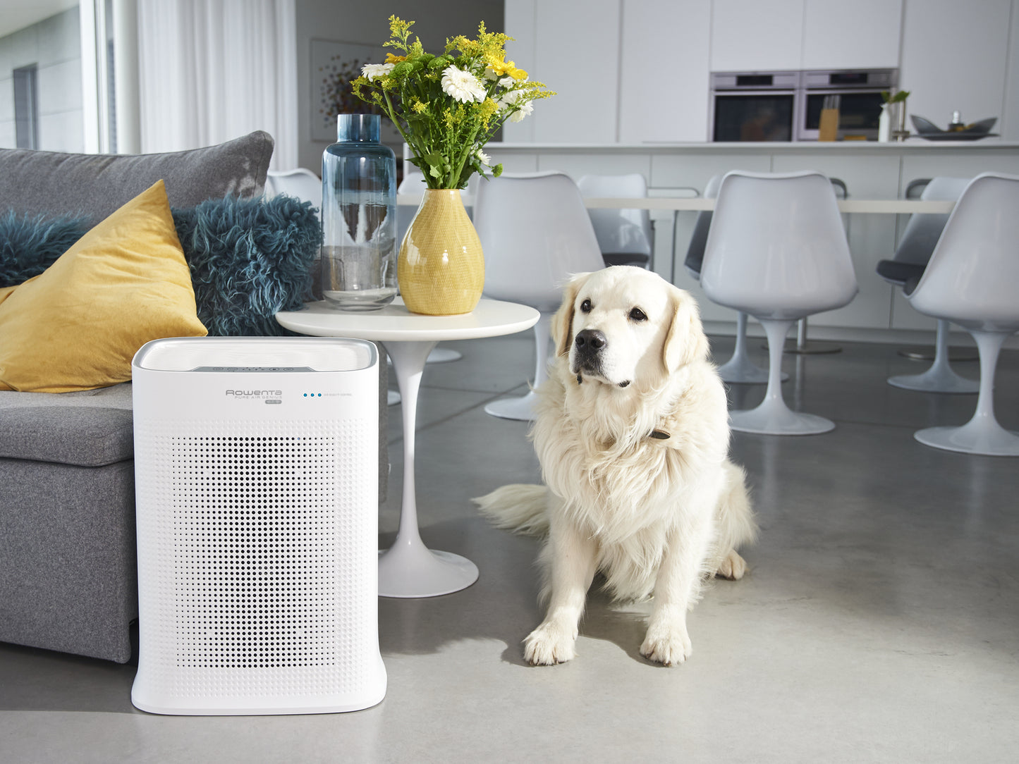 Rowenta Pure Air PU3080 140 m² 52 dB 50 W Blanc